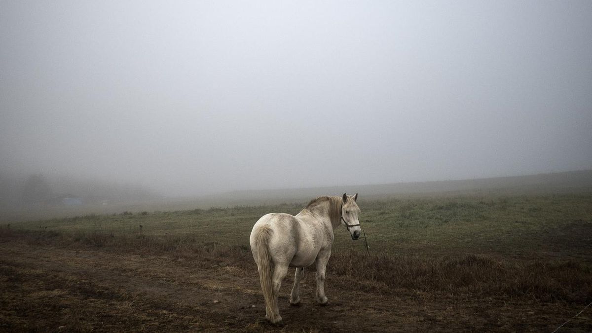 Spotkania przy kawie z Filipem Springerem 1