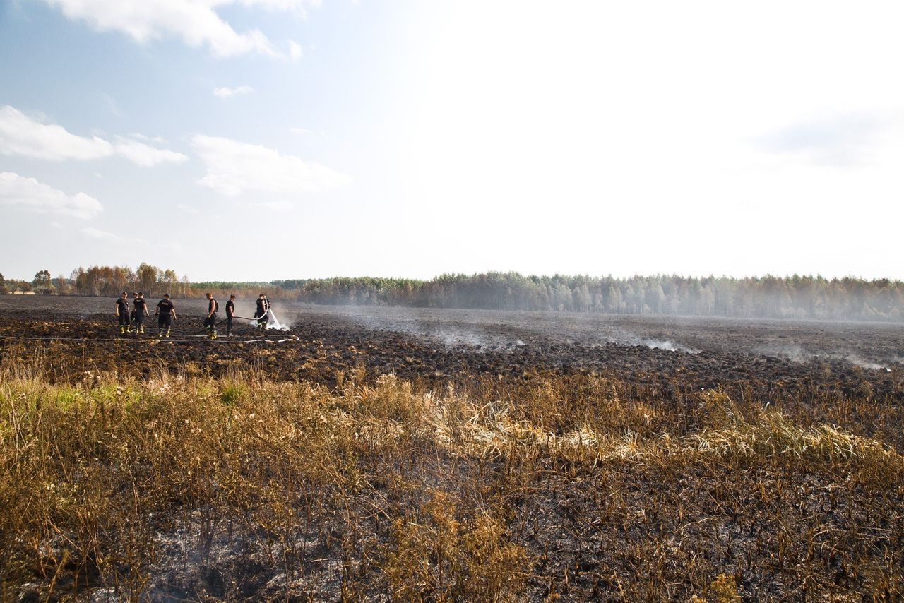 Rolnicy dostaną wsparcie za ochronę torfowisk i terenów podmokłych