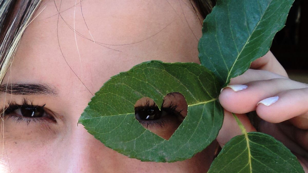 Suplementy diety na oczy