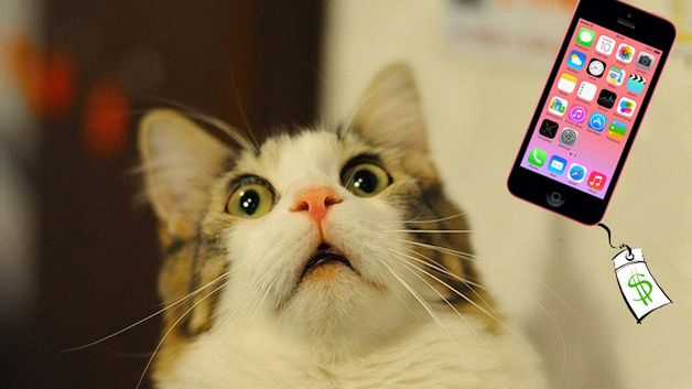 Tańsza wersja iPhone'a 5c z 8 GB pamięci już w Polsce. Cena? Kontrowersyjna... 1