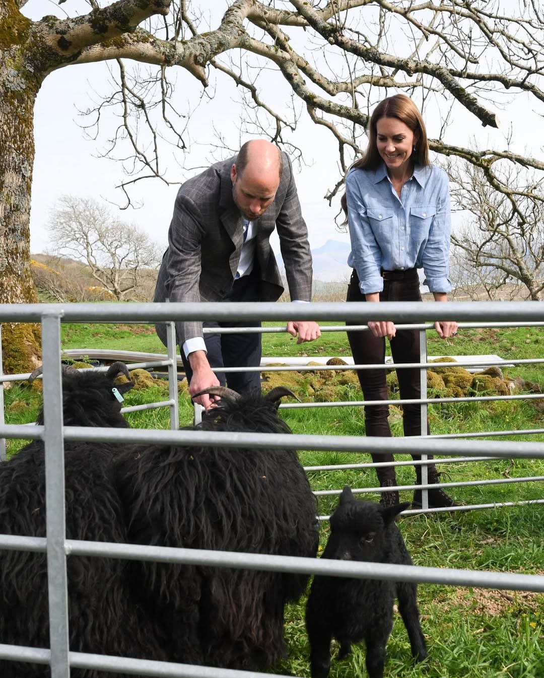 Książę William i księżna Kate podczas wizyty na wyspie Mull