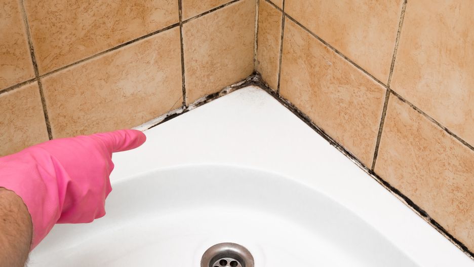 Hand in rubber protective glove pointing to the mold in the shower cabin corner. Problems and solutions concept.
Hand in rubber protective glove pointing to the mold in the shower cabin corner. Problems and solutions concept.
FotoDuets