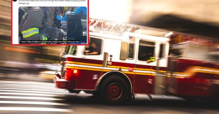 Tragiczny pożar w centrum handlowym w Dallas. Zginęły setki zwierząt