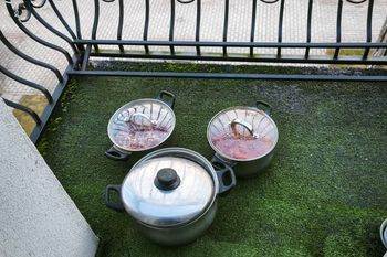 Tu nie trzymaj jedzenia na święta. Wyląduje w koszu lub wywoła rewolucję żołądkową