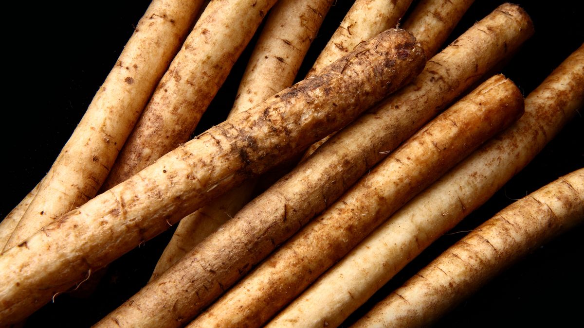 Korzeń łopianu wspiera trawienie i pielęgnację skóry