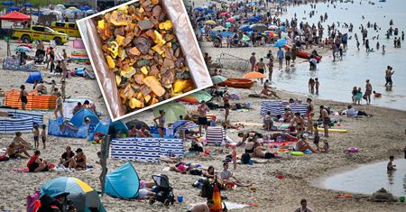 8,5 kg bursztynu w jedną noc. "Żniwa trwają w najlepsze"