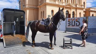 Straż miejska w Łodzi robi kosztowne zakupy. Na co wydano pieniądze z budżetu obywatelskiego?