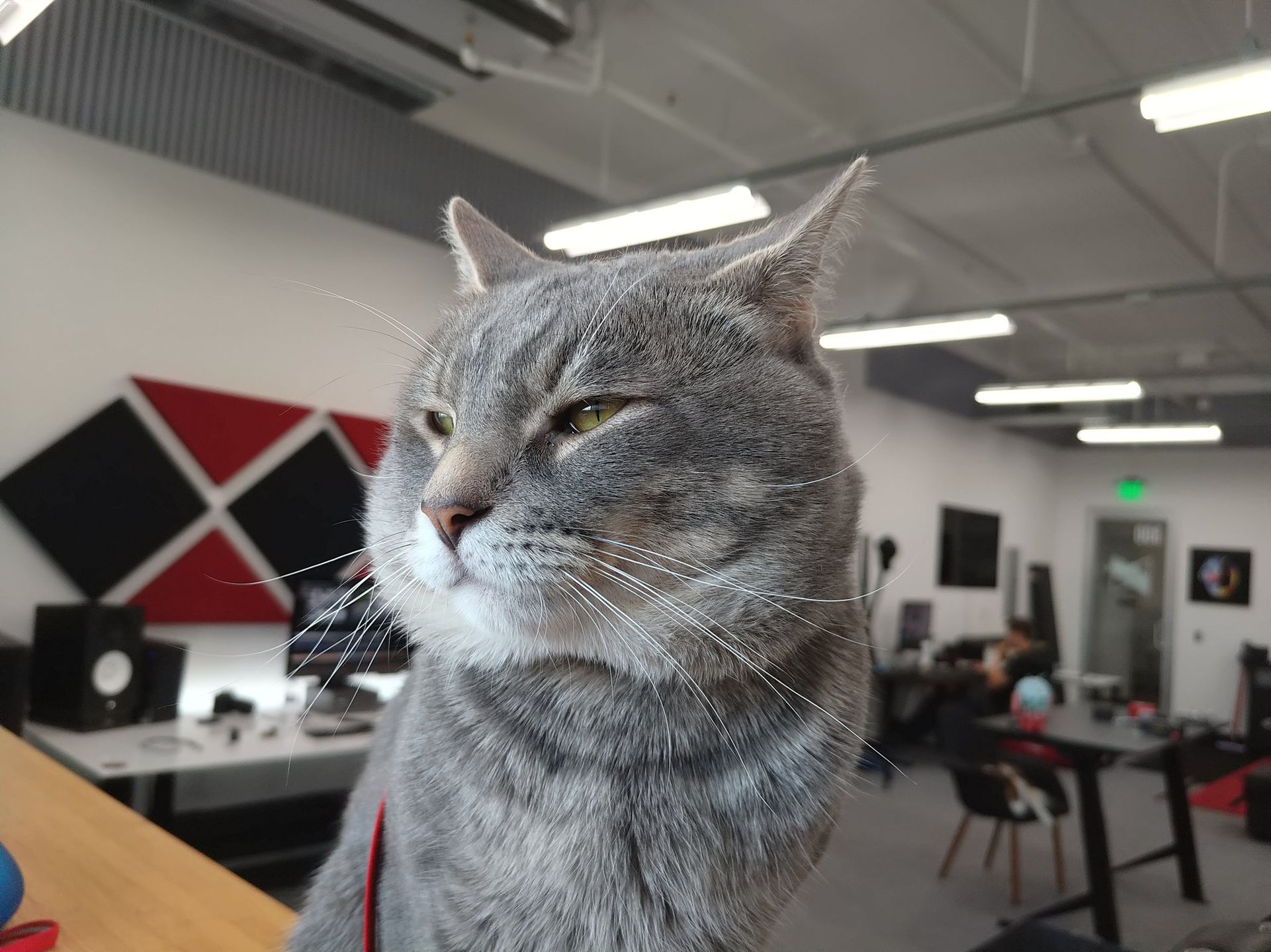 RED pokazał, jak wyjść z kryzysu z twarzą. Konkurencjo, patrz i się ucz 2