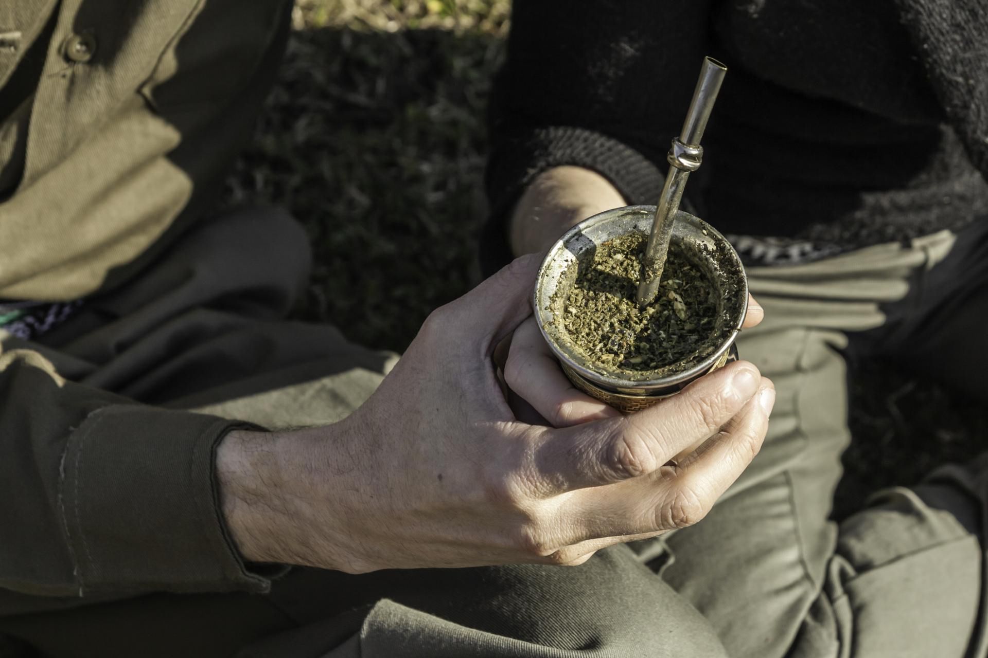 Yerba mate może sprzyjać rozwojowi nowotworów