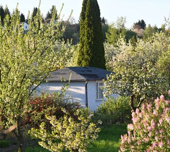 Zburzyli mu altanę. Stracił kota. Teraz wyganiają seniora z kontenera