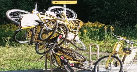 Zdjęcie z Sosnowca. "Ręce opadają"