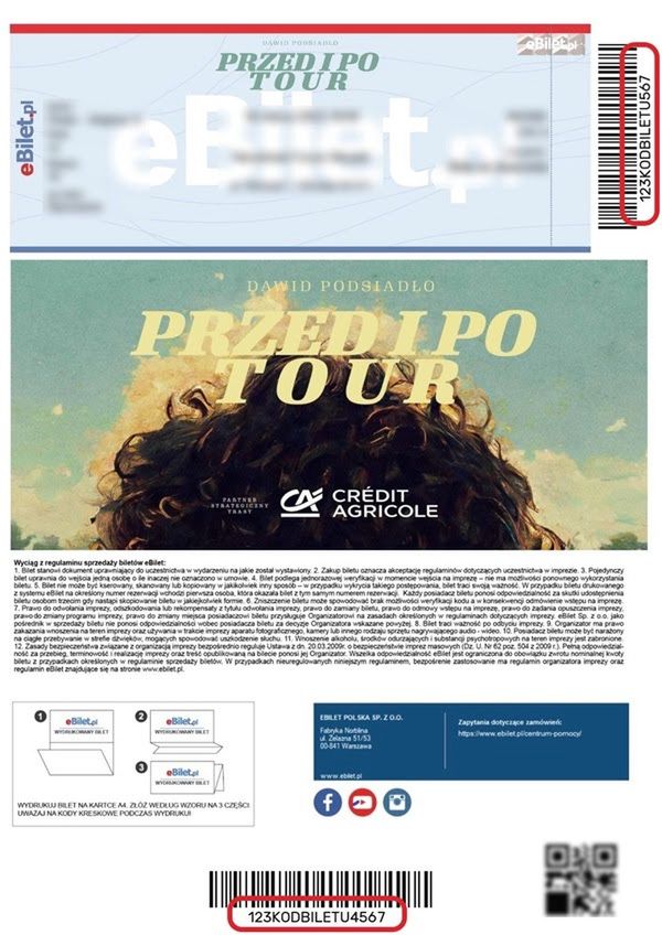Przykładowy bilet z koncertu trasy "Przed i Po tour"