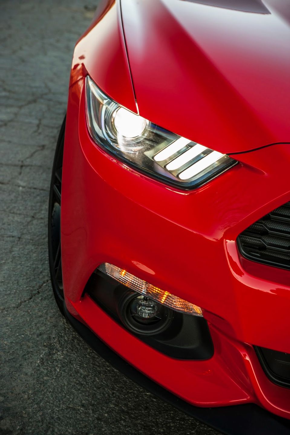 Zobacz Forda Mustanga 2015 na 100 nowych zdjęciach! 62