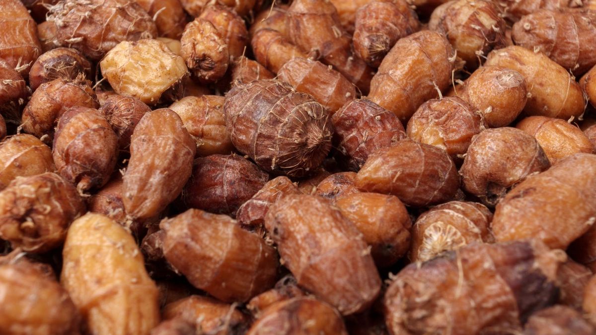 Orzechy tygrysie stanowią źródło błonnika, białka i nienasyconych kwasów tłuszczowych