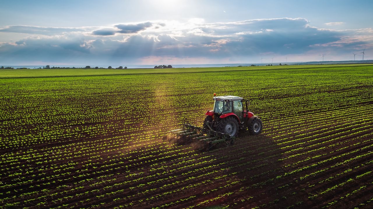 Dopłaty bezpośrednie 2025: rozpoczął się nabór wniosków. O czym należy pamiętać?