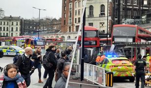 Tragedia w centrum Londynu. Piętrus wbił się w przystanek