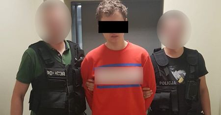 Miał pornografię z małoletnimi i zwierzętami. Policjanci zatrzymali go w miejscu pracy