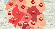 Koronawirus w Polsce. Mapa zarażeń pokazuje aktualne dane. Ponad 1050 ofiar śmiertelnych