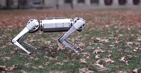 Ten robot to najlepsze co dziś zobaczycie - MIT Mini Cheetah robi wrażenie