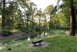 Pogoda. Wrocław. 13 sierpnia - upalny weekend nadchodzi. Spora zmiana od wtorku