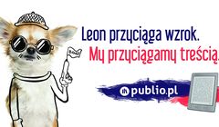 „Przyciągamy treścią” - kampania wizerunkowa Publio.pl