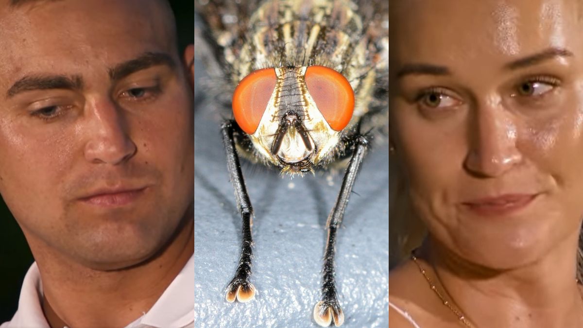 Wiemy, co poróżniło Kamilę i Janka z "Rolnik szuka żony"! Będziecie w szoku... 