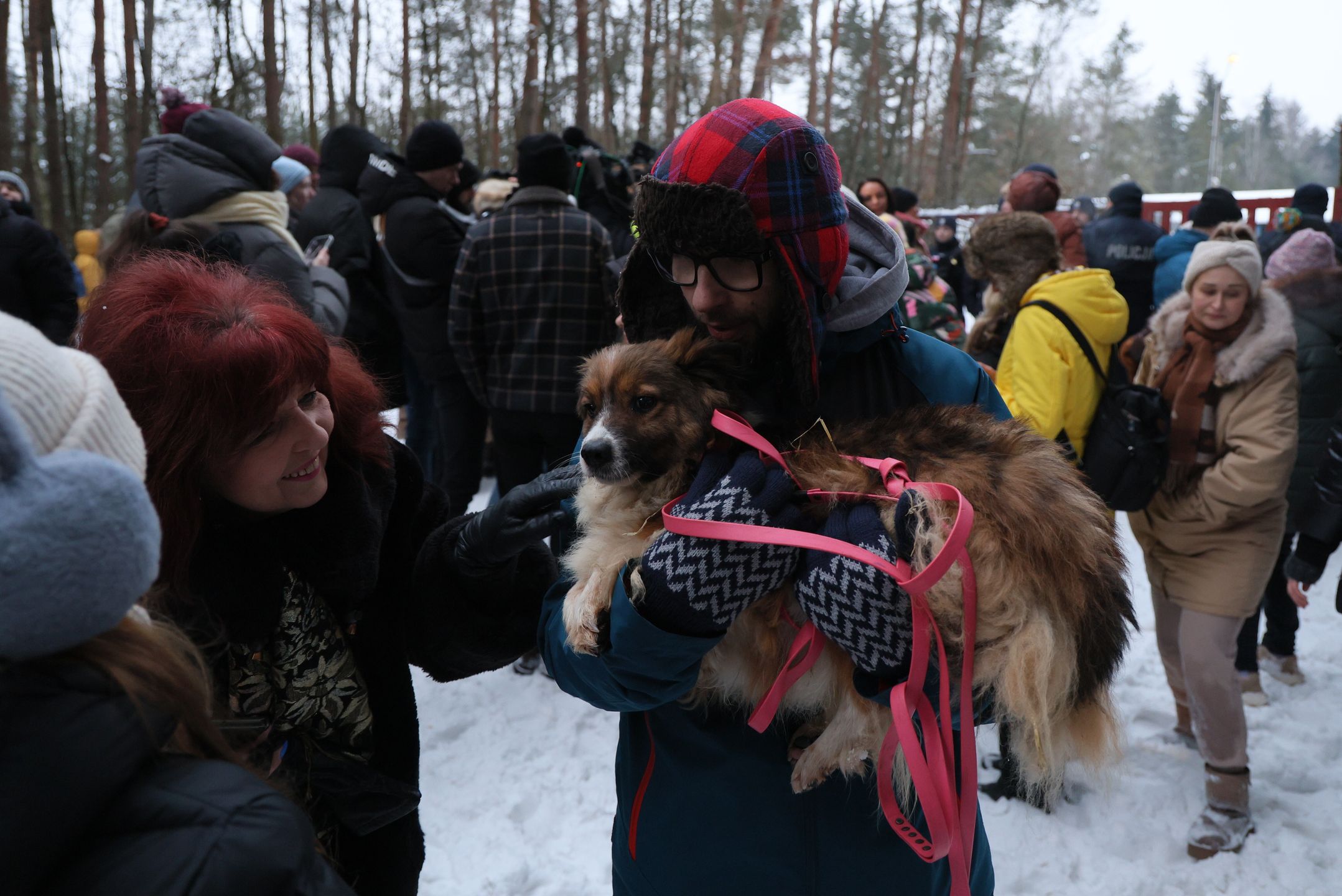 Sobolew, 24.01.2026. Akcja zabierania psów ze schroniska dla zwierząt "Happy Dog" w miejscowości Sobolew, 24 bm. Nieprawidłowości w zarządzaniu placówką oraz złe warunki, w których przebywają zwierzęta w schronisku nagłośnili piosenkarka Dorota Rabczewska oraz poseł Lewicy Łukasz Litewka. Powiatowy Lekarz Weterynarii zamknął schronisko w Sobolewie. (sko) PAP/Paweł Supernak