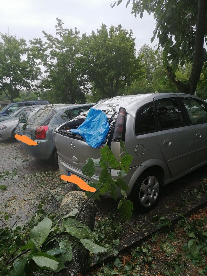 Drzewo upadło na zaparkowane samochody na LSM