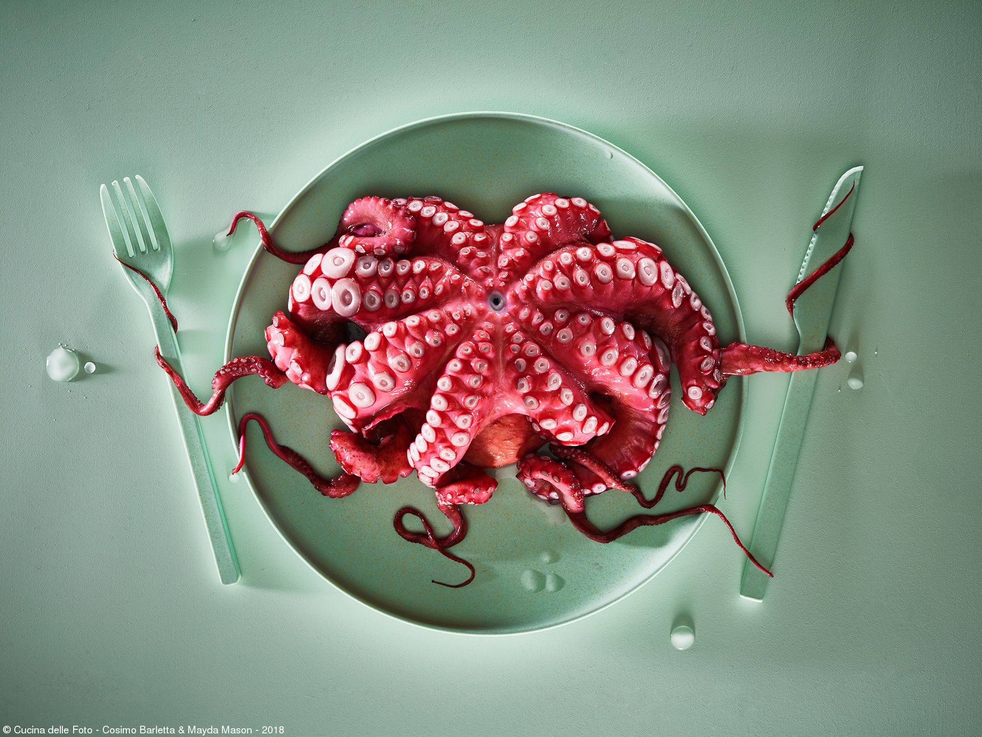 Najsmaczniejsze zdjęcia kulinarne 2019 roku. Zobacz, wyniki konkursu 35