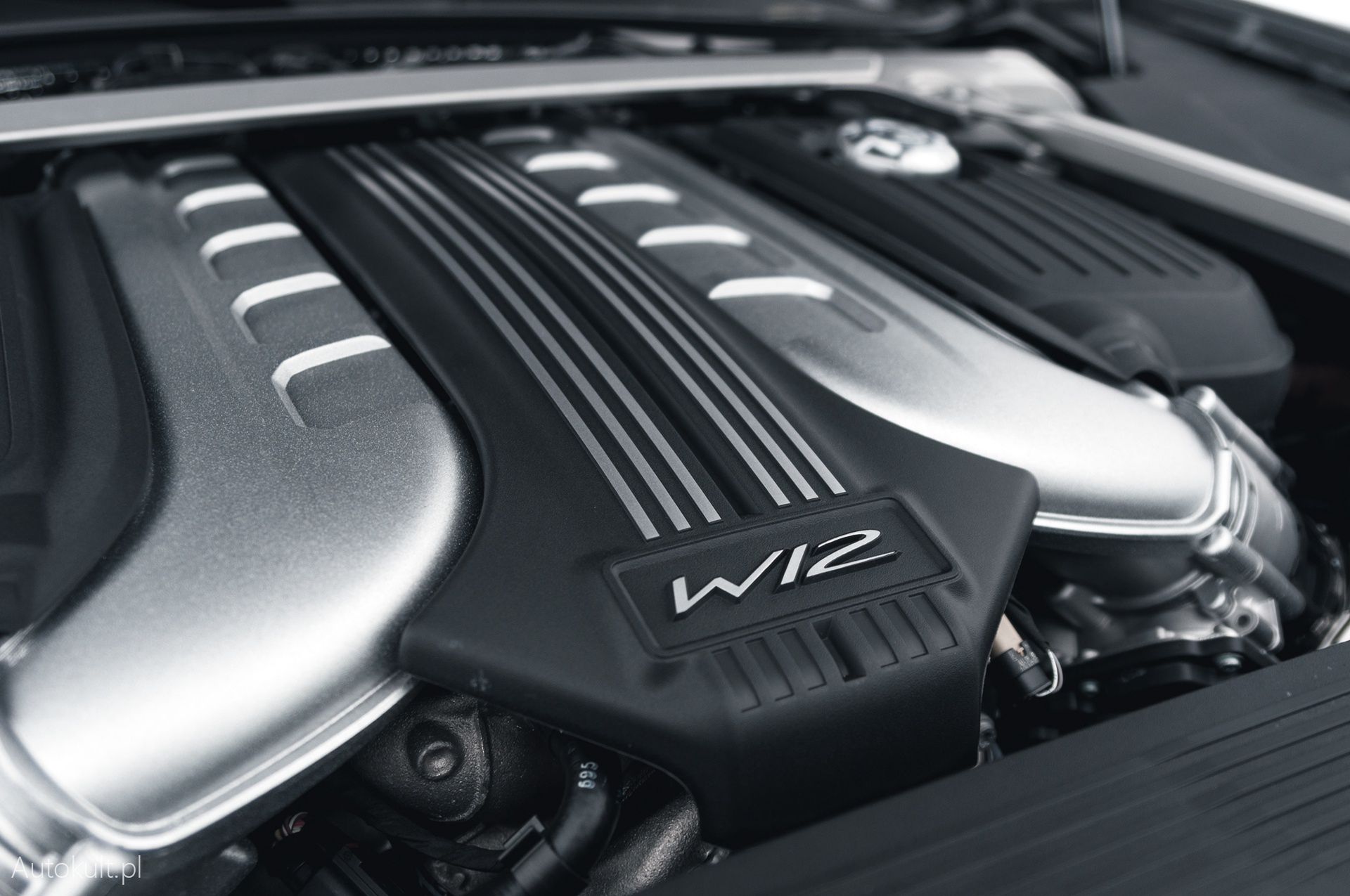 Bentley Continental GT Speed (2022)