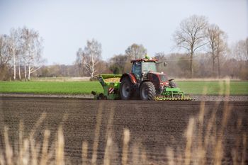 Rolnicy z Niemiec załamani. Niszczą plony. "Serce pęka"