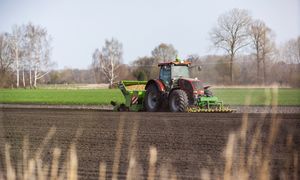 Rolnicy z Niemiec załamani. Niszczą plony. "Serce pęka"