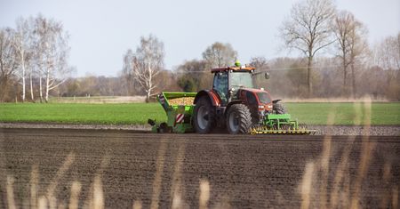 Rolnicy z Niemiec załamani. Niszczą plony. "Serce pęka"