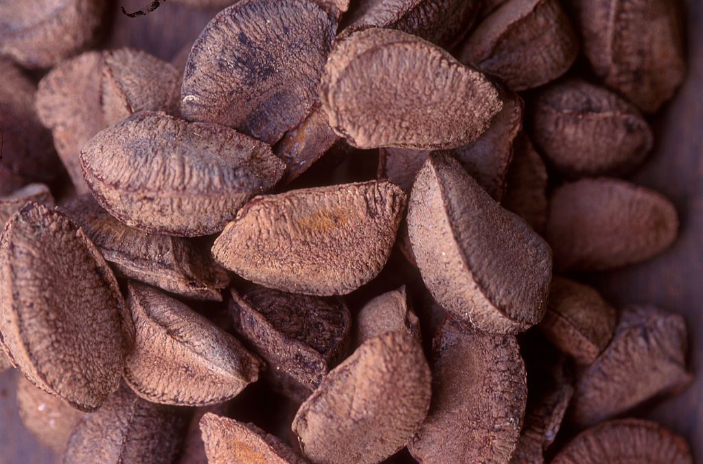 Orzechy brazylijskie emitują ponad 6,600 pCi/kg