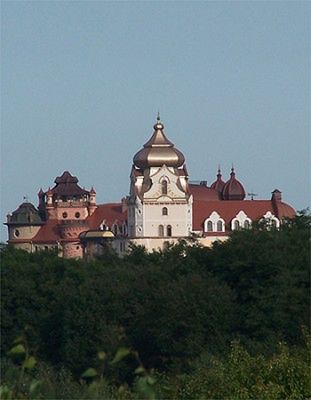 Obraz