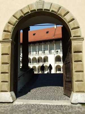 Obraz