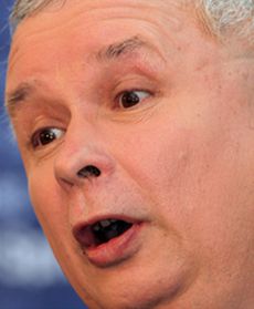 Czy politycy wiedzą, co mówią?!