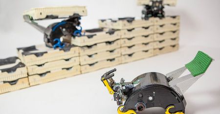 Świadomość roju. Zbudowano roboty, zachowujące się jak kolonia termitów