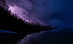 Ostrzeżenie przed wiatrem. Przymrozki na południu Polski