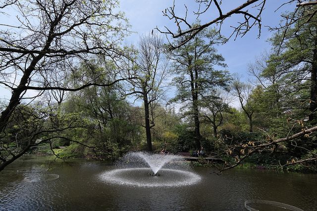 Samsung NX300 – solidny bezlusterkowiec o wielkich możliwościach [test] 14