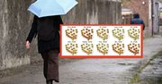 Prognoza pogody na 16 dni. W ten weekend wyraźne ochłodzenie