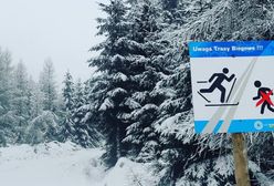Ferie 2021. W Jakuszycach zima w pełni. Ratraki przygotowują trasy biegowe
