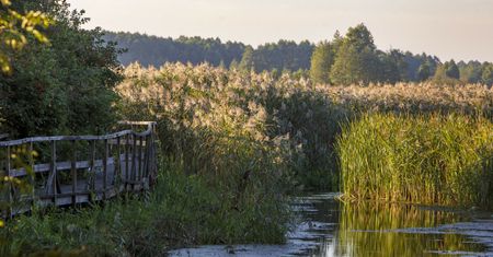 Chcą dopłacić turystom za pobyt na Podlasiu. Dołożą do dwóch noclegów