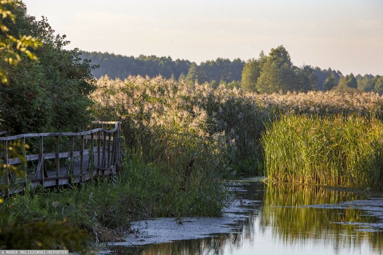 Chcą dopłacić turystom za pobyt na Podlasiu. Dołożą do dwóch noclegów