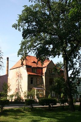 Obraz