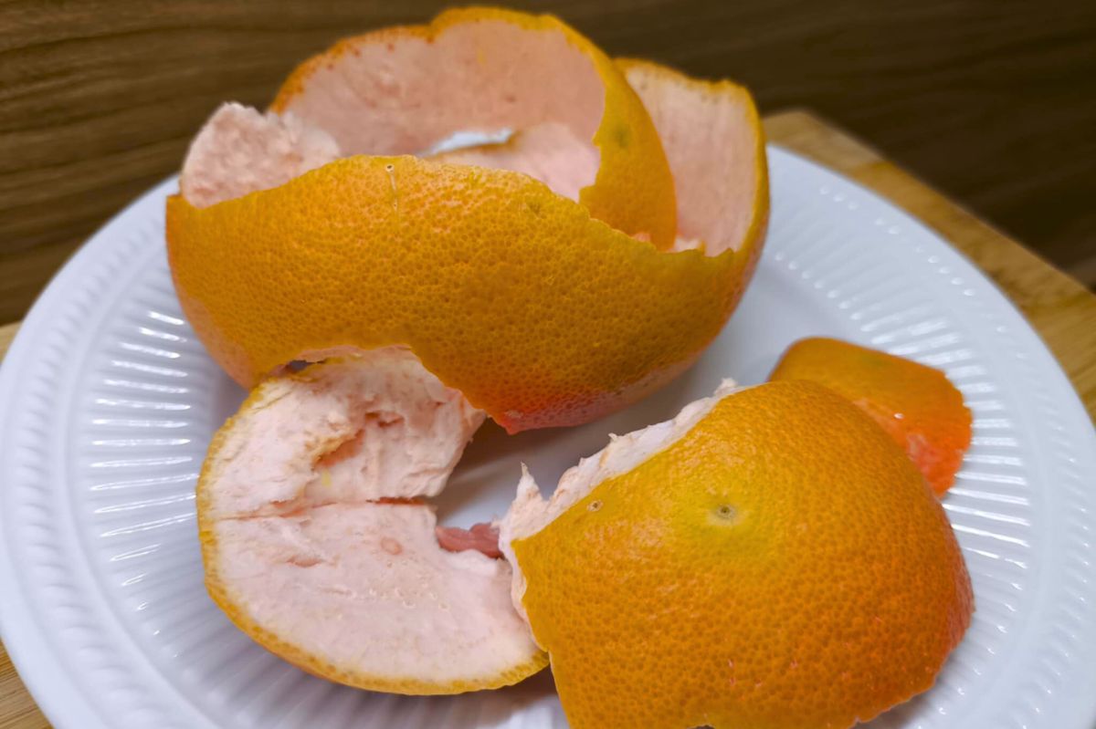 Grapefruit and vinegar: A fresh twist on natural cleaning