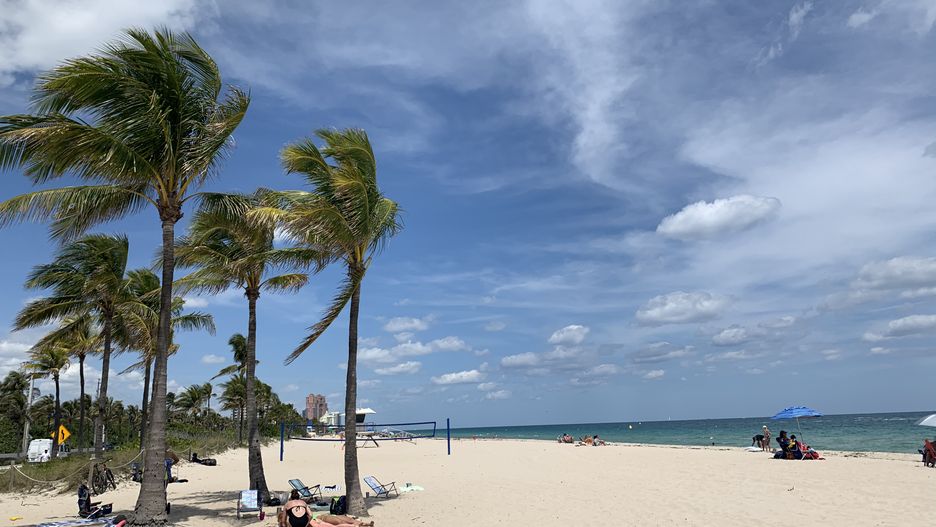 Takie widoki na Florydzie to codzienność