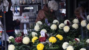 Wszystkich Świętych 2025. Takie kompozycje są najbardziej trwałe
