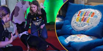 Zwierzogranie w Sosnowcu. Rekordowa zbiórka dla futrzanych przyjaciół