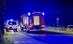 Konie wybiegły na jezdnię. Kierowca w szpitalu